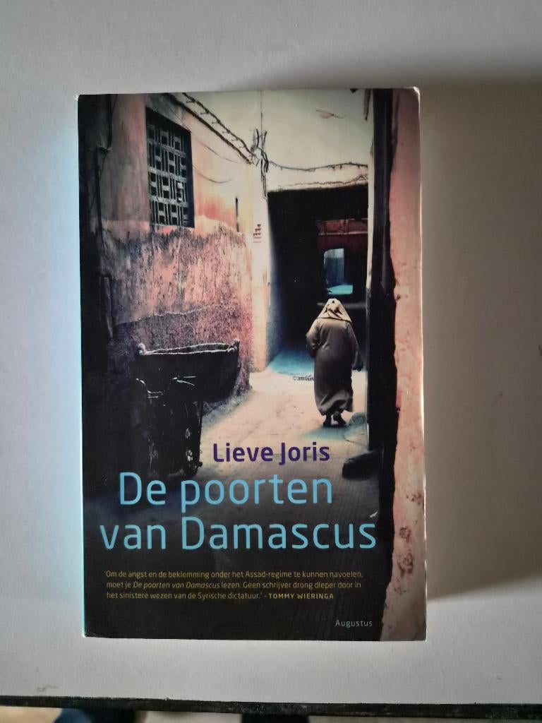 De poorten van Damascus – Lieve Joris, Ophalen of Verzenden, Gelezen