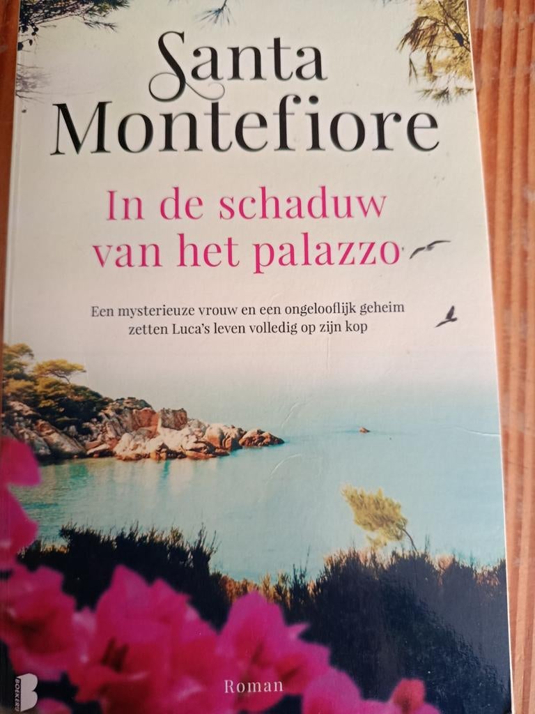 Santa Montefiore In de schaduw van het palazzo, Ophalen of Verzenden