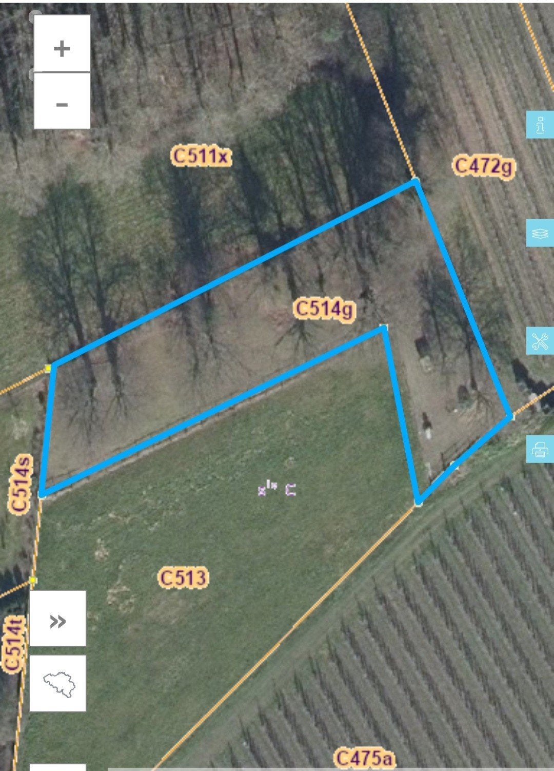 Belle prairie à vendre, Herk-de-Stad, Ventes sans courtier, 1500 m² ou plus