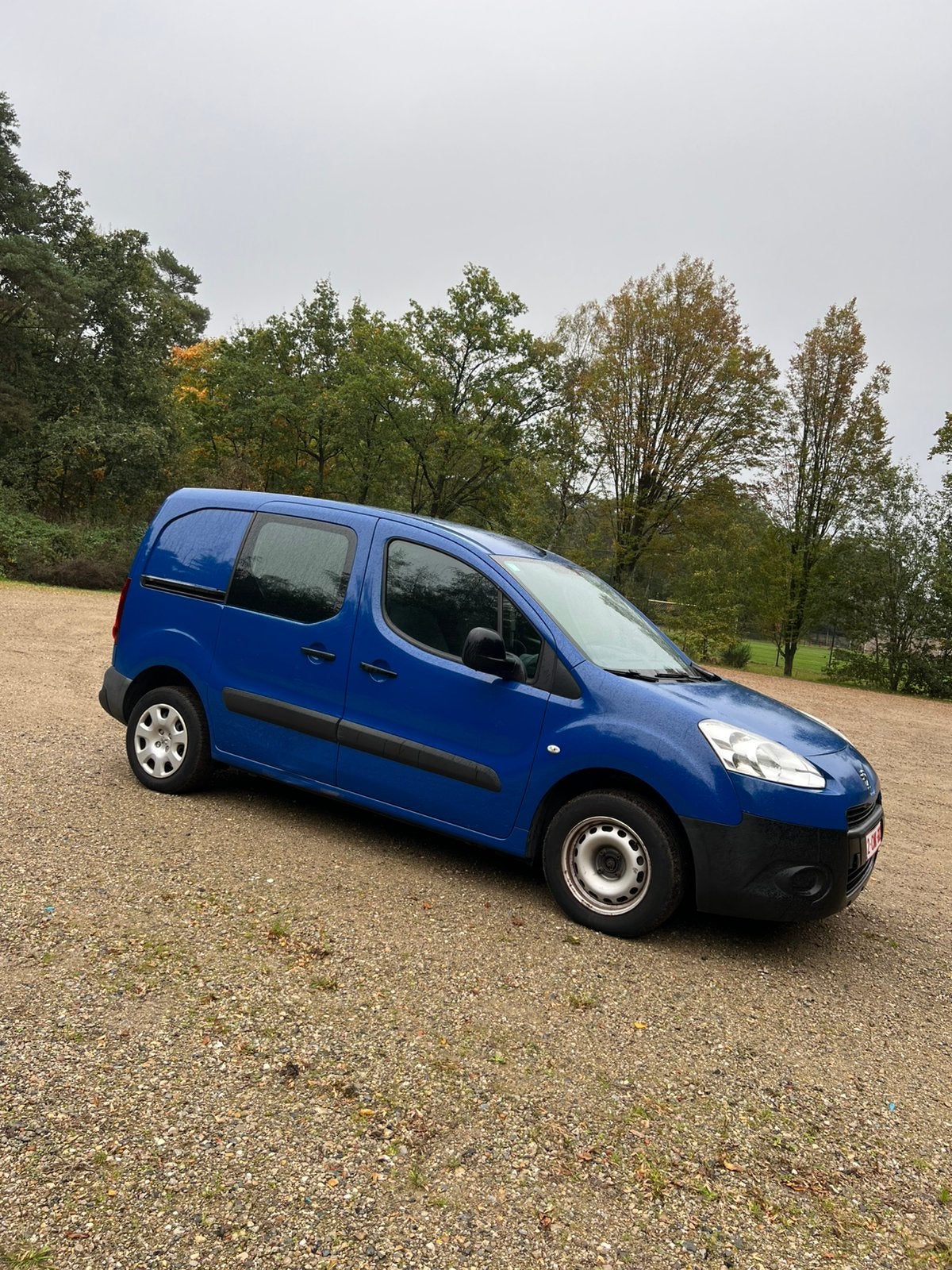 Parner, Auto's, Euro 5, Diesel, Particulier, Te koop