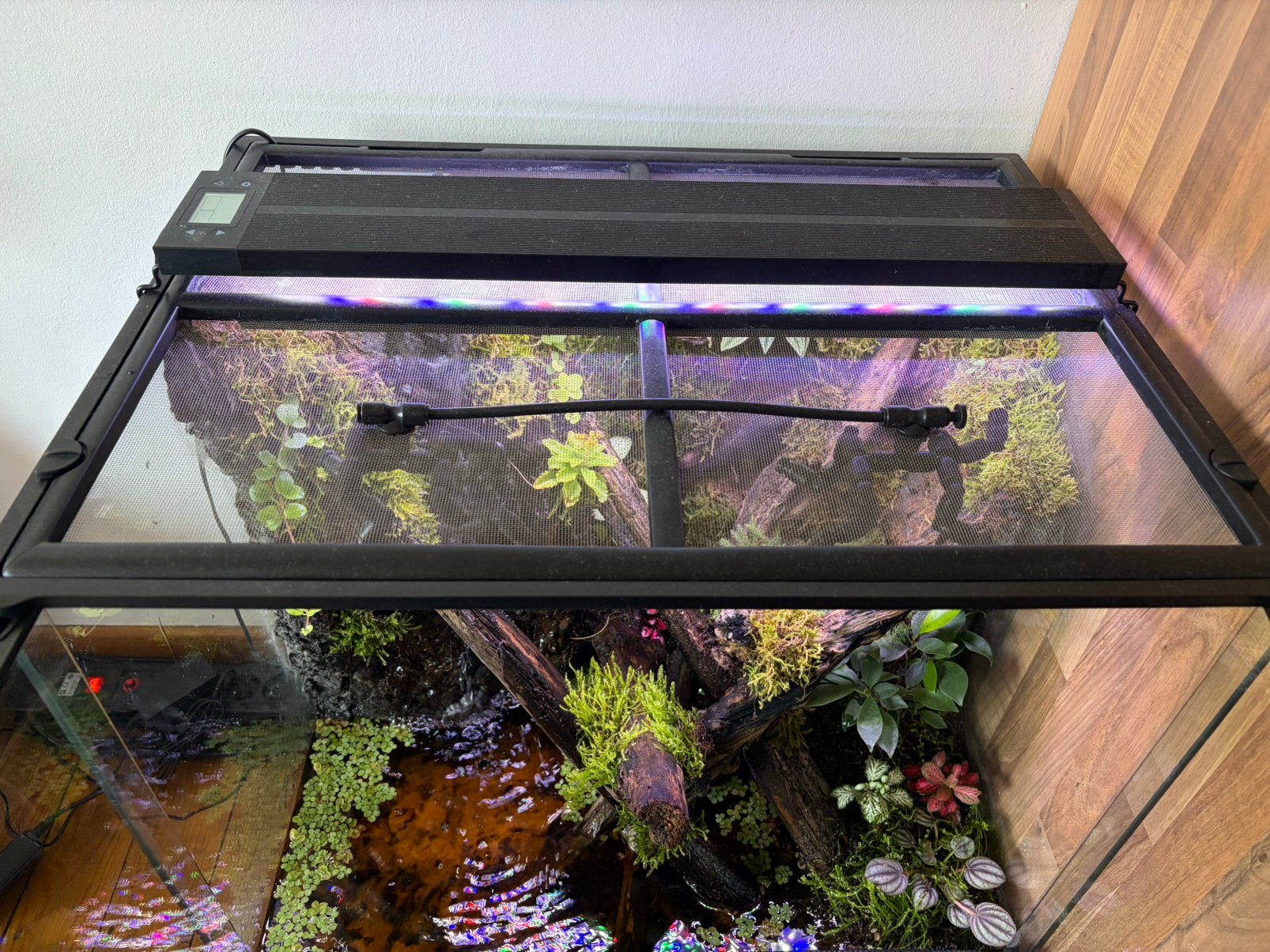 Exo terra paludarium 60X45X60, Ophalen, Gebruikt, Terrarium of Paludarium