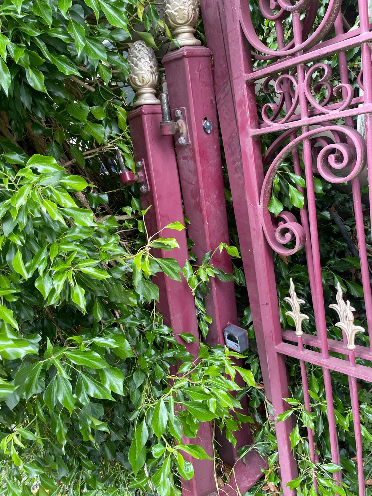 Hek voorzien om automatisatie op te plaatsen, Tuin en Terras, Ophalen, Zo goed als nieuw