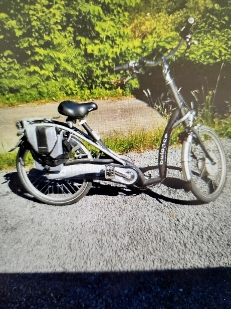 Vélo électrique, Elektrisch