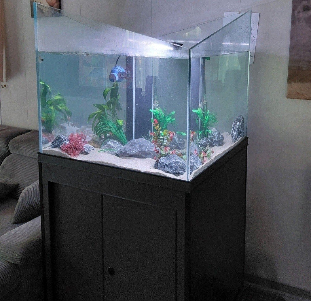 Aquariums + diverse toebehoren, Ophalen, Decoratie