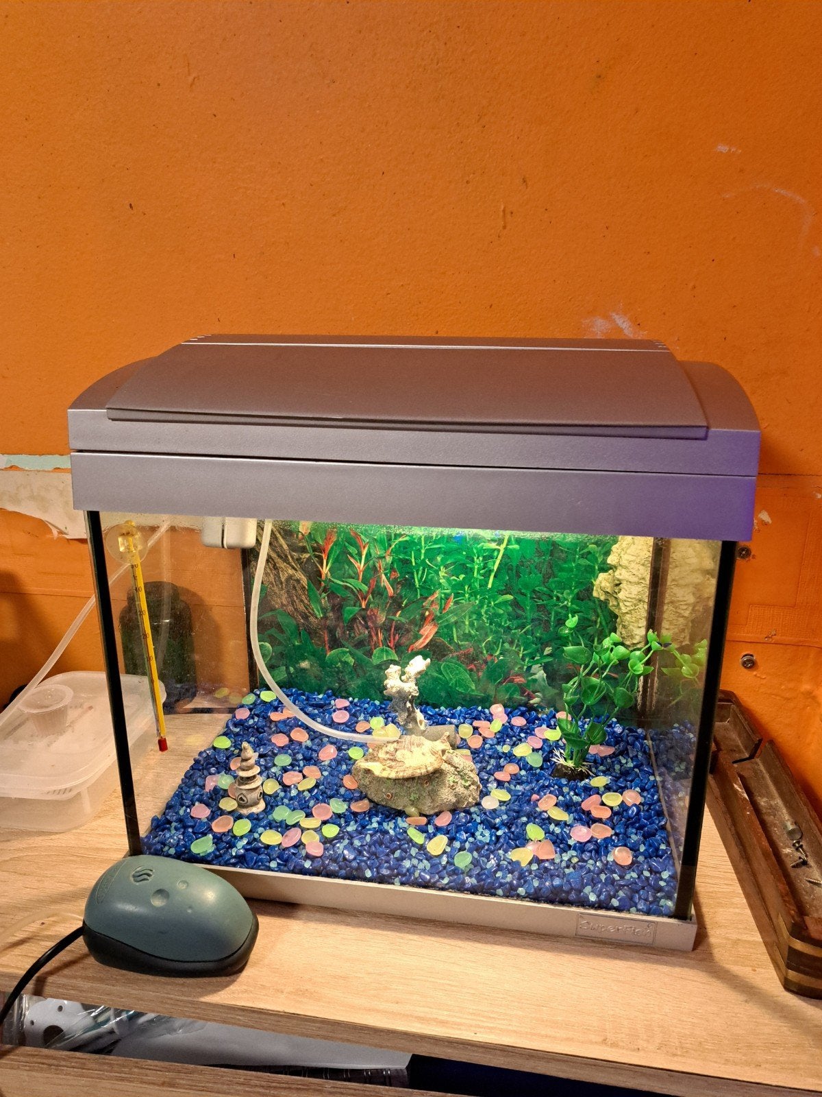 aquarium de 35/22/32de haut complet comme.sur photo, Ophalen, Leeg aquarium, Superfish, Gebruikt