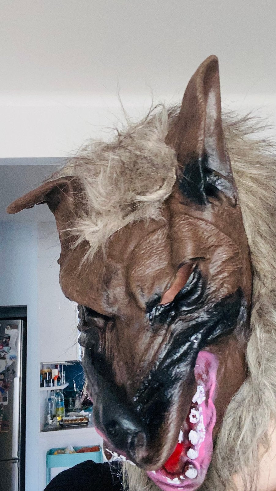 Masker weerwolf met bont handschoenen, Kinderen en Baby's, Ophalen, Zo goed als nieuw