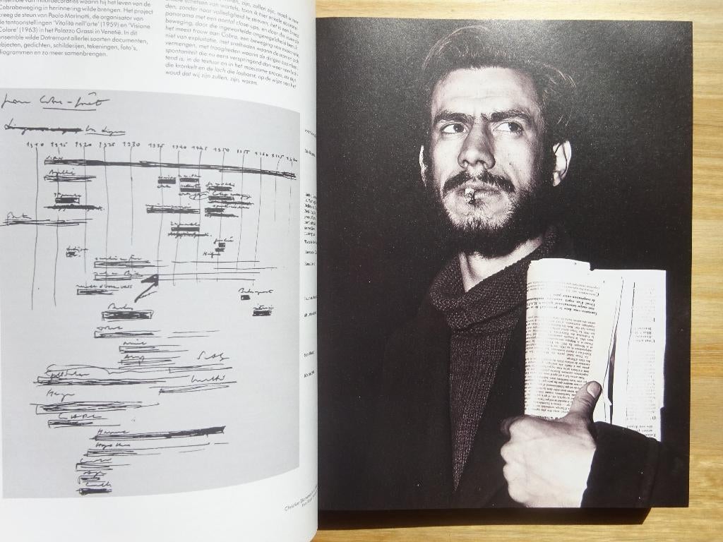 Cobra, 2008 KMSK Brussel, Boeken, Ophalen of Verzenden, Zo goed als nieuw, Schilder- en Tekenkunst