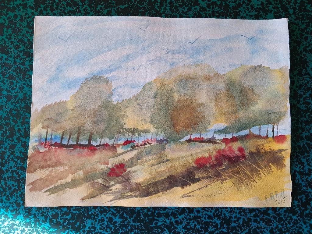 Akwarel - landschap met klaprozen, Antiek en Kunst, Kunst | Overige Kunst, Ophalen of Verzenden