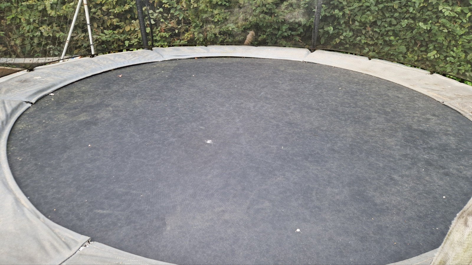 Trampoline Exit Premium, Enlèvement