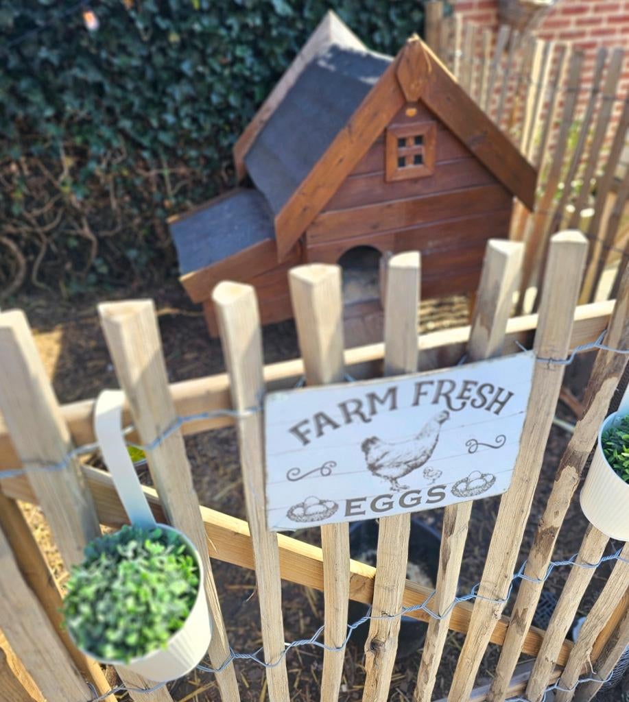🐓Kippenhok te koop🐓, Tuin en Terras, Schuttingen, Ophalen of Verzenden