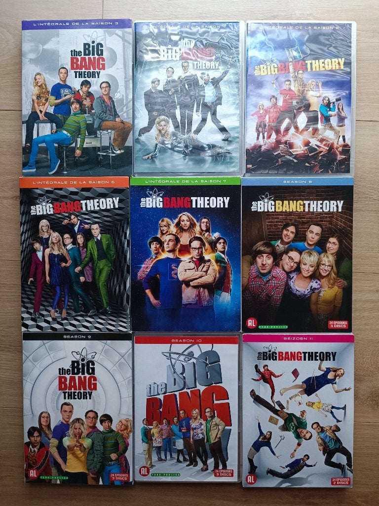 The Big Bang Theory - Lot de 9 saisons DVD (S3 à 11), Enlèvement ou Envoi, Utilisé