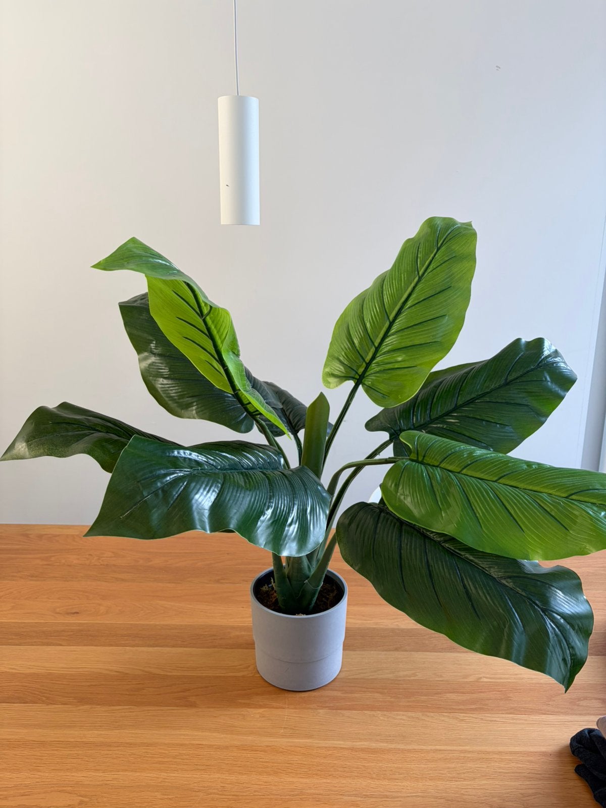 Kunstplant in bloempot, Ophalen, Binnen, Groen, Kunstplant
