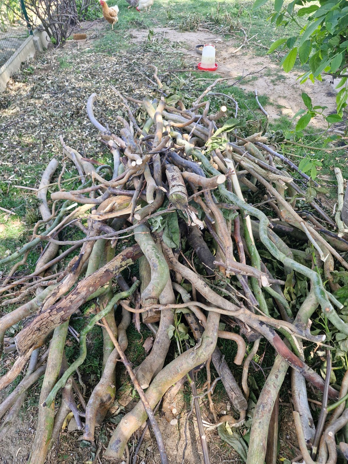 Hout, Tuin en Terras, Brandhout, Ophalen