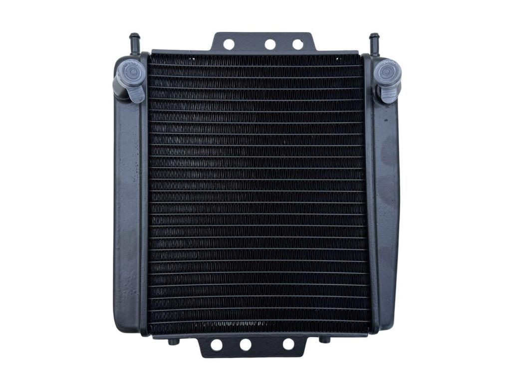 RADIATEUR Piaggio MP3 400 2007-2010 (1B001908), Motoren, Dhr. S. di Majo, Gebruikt, Info@cama-motorparts.nl, P.J. Troelstraweg 8 8
3144 CX  MAASSLUIS, NL