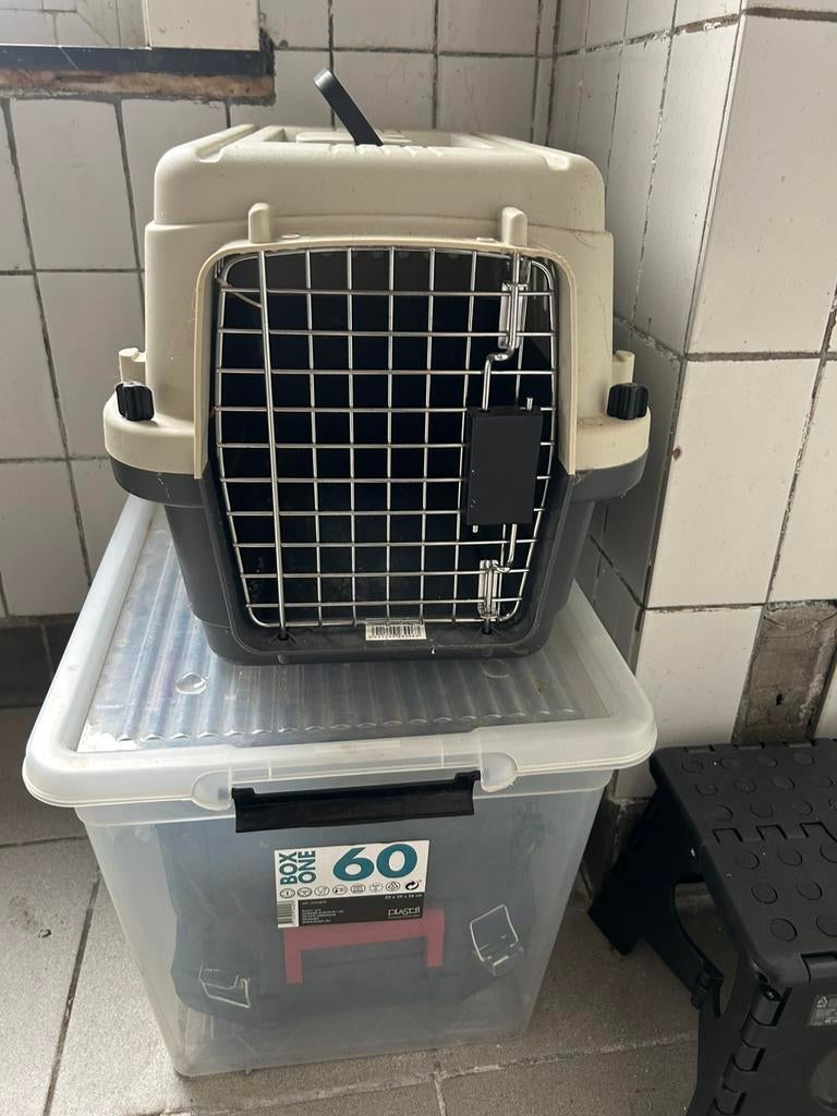 Cage animal, Enlèvement, Comme neuf