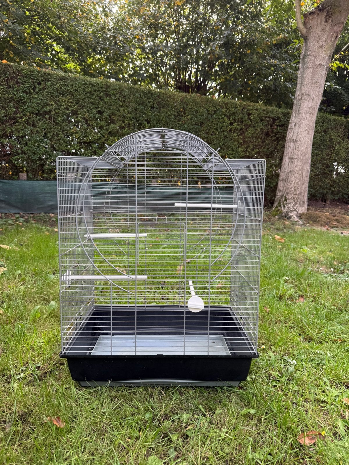 Cage oiseaux, Dieren en Toebehoren, Ophalen, Zo goed als nieuw