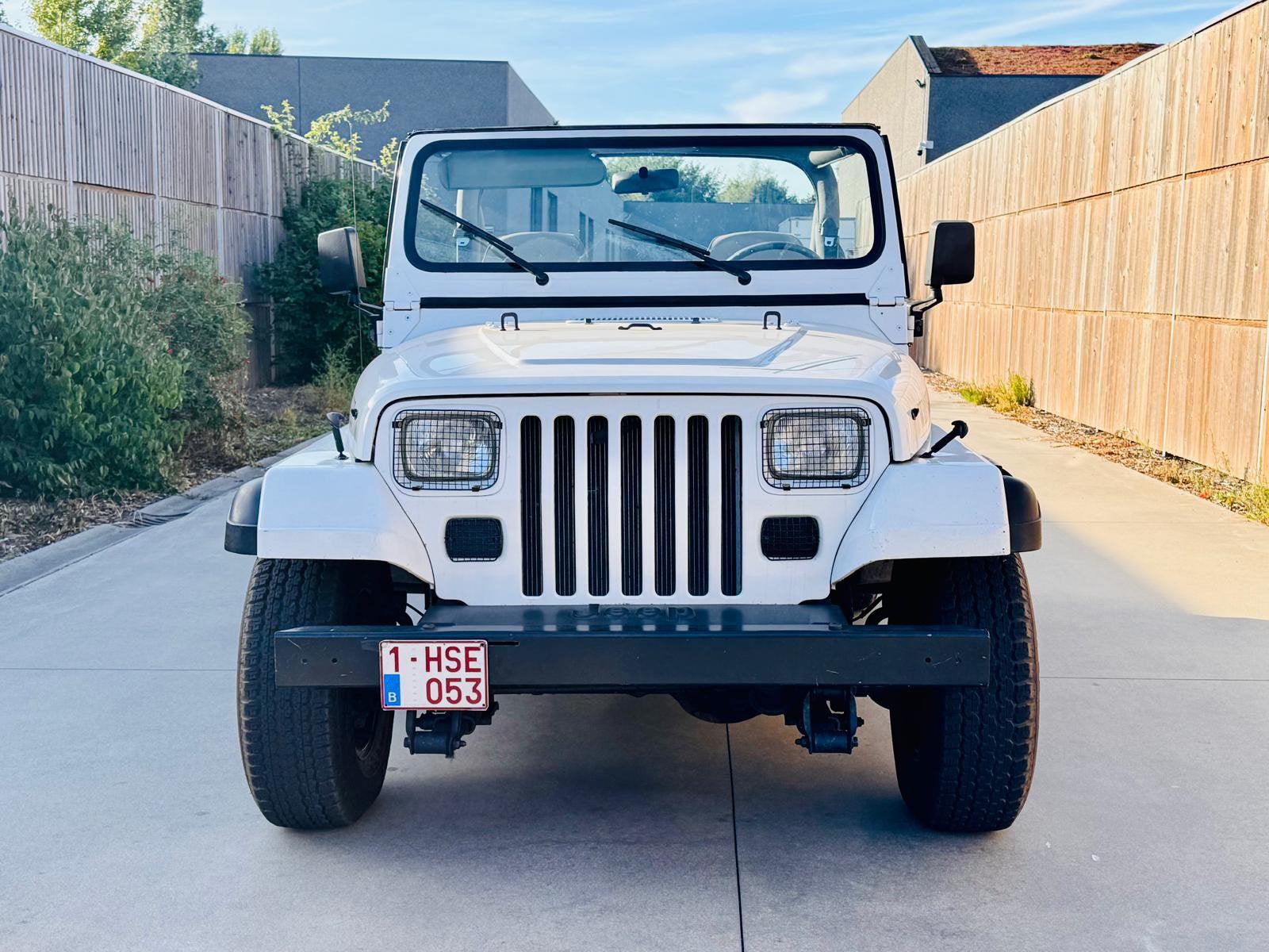 JEEP WRANGLER 4,2 benzine, Auto's, Jeep, Bedrijf, Wrangler, Te koop, Benzine