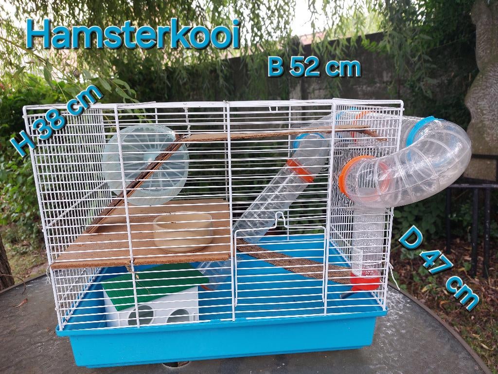 Hamsterkooi, Ophalen, Gebruikt, Muis