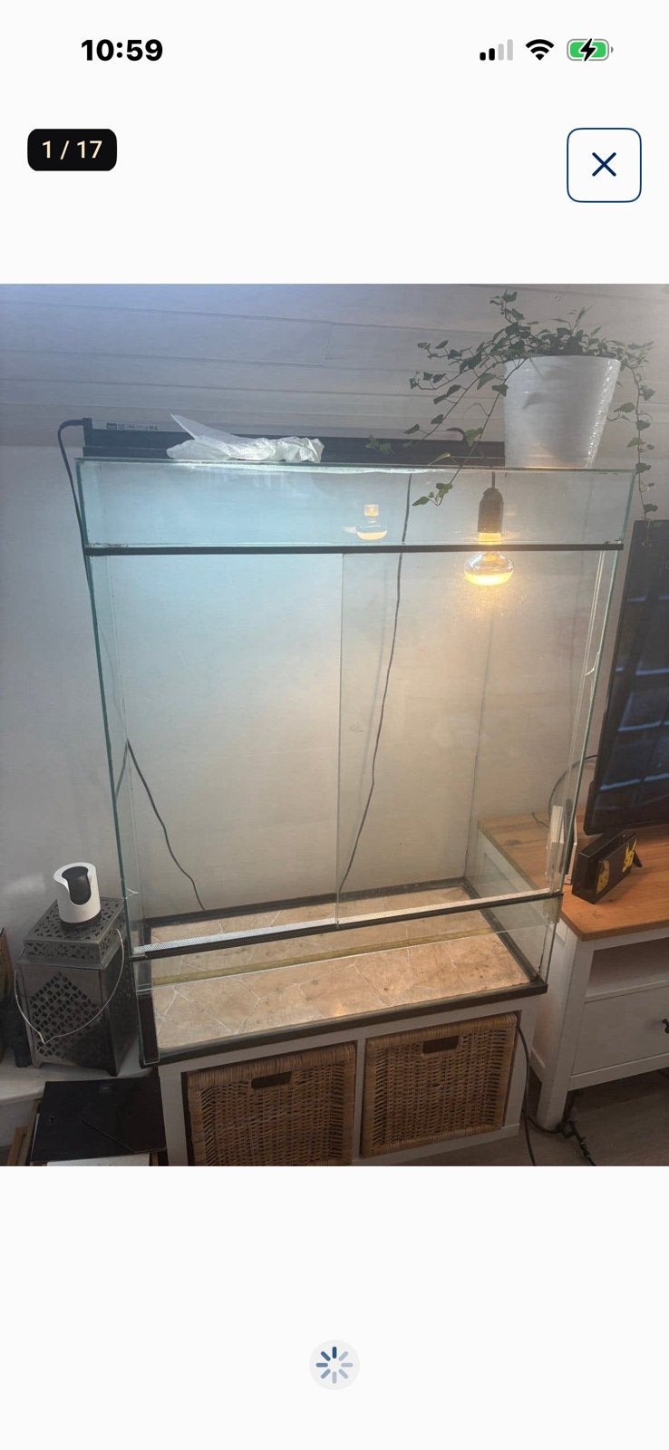 Terarrium, Ophalen, Gebruikt, Terrarium of Paludarium