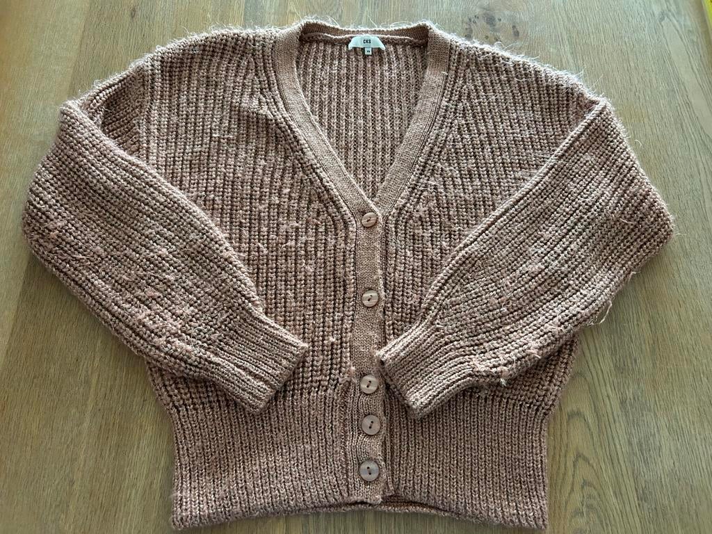 Lichtroze met gouden glitter vest CKS maat XS, Ophalen of Verzenden, Zo goed als nieuw, Maat 34 (XS) of kleiner, Roze
