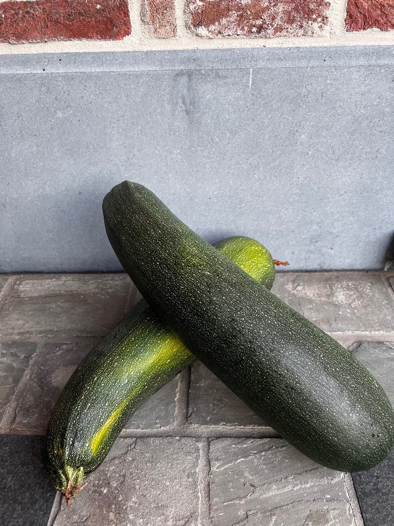 Courgette uit eigen tuin, Zakelijke goederen, Landbouw | Aardappelen, Groenten, Fruit en Vlees, Ophalen