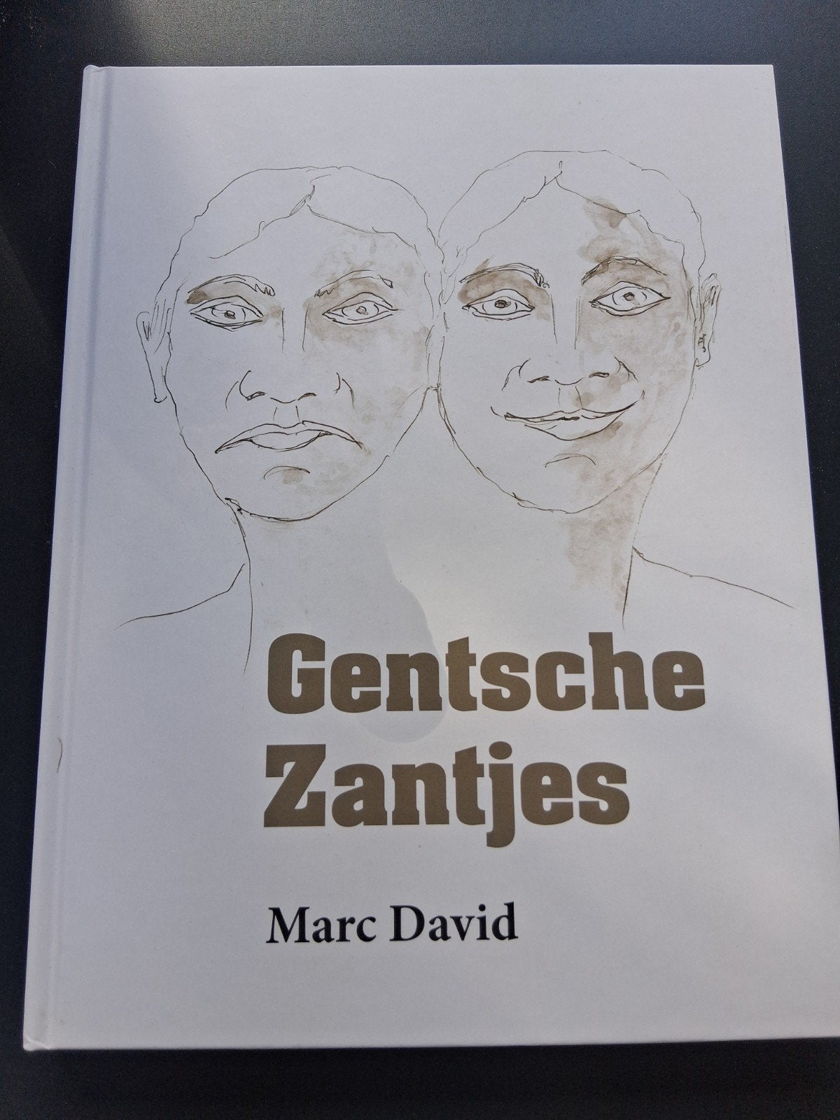 boek NIEUW- Gentsche Zantjes- Marc David, Livres, Biographies, Enlèvement ou Envoi