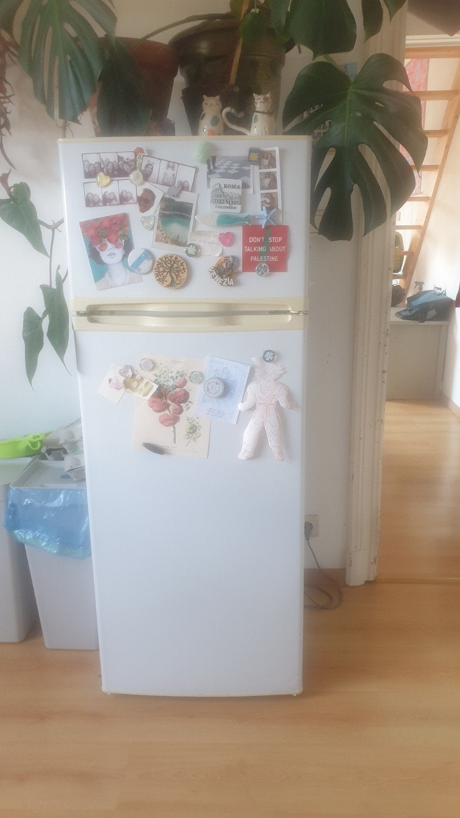 frigo Domo blanc, Electroménager, 200 litres ou plus, Enlèvement, Comme neuf, Avec congélateur séparé