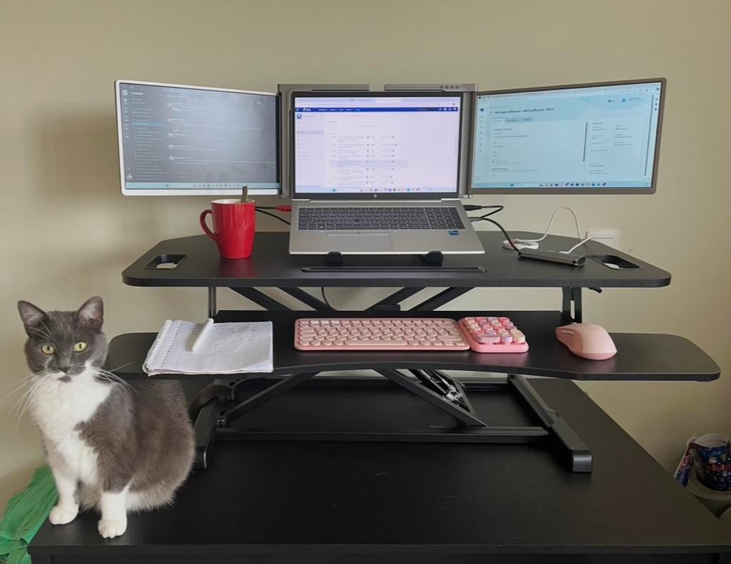 2 extra schermen 15,6 inch Triple Portable monitor Full HD, Computers en Software, Ophalen, Zo goed als nieuw