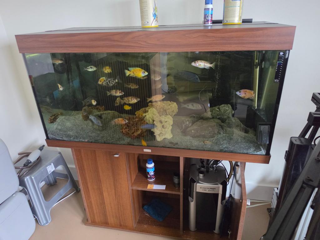 Juwel 350l aqurium te koop (zonder vissen), Animaux & Accessoires, Poissons | Aquariums & Accessoires, Filter, JBL, Enlèvement