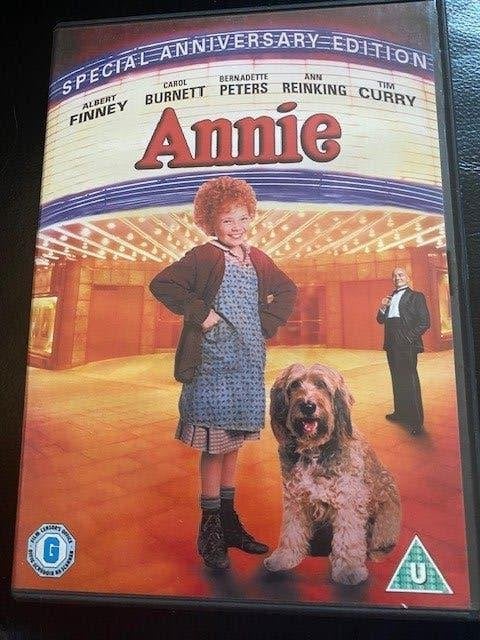 Annie DVD gebaseerd op de musical Annie Nieuwstaat, CD & DVD, DVD | Classiques, Comédie musicale, Enlèvement ou Envoi, Anglais