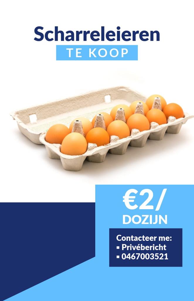 Scharreleieren 12 voor 2 euro, Diversen, Levensmiddelen, Ophalen