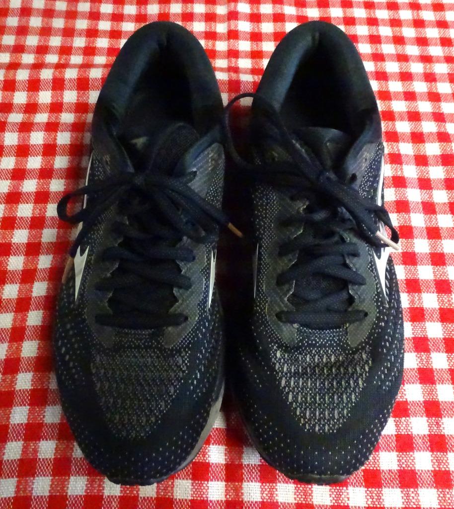 Basket, de marque mizuno Wave sky3, Enlèvement, Utilisé, Chaussures