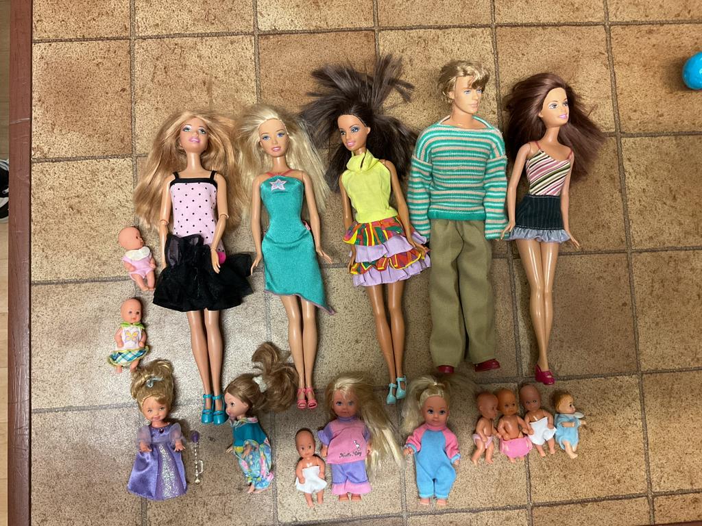 Barbiepoppen en huisdieren, Ophalen of Verzenden, Zo goed als nieuw, Barbie