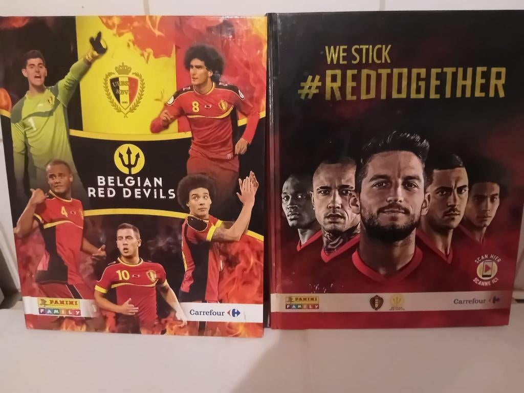 2 panini sticker albums voetbal, Enlèvement ou Envoi, Utilisé, Plusieurs autocollants