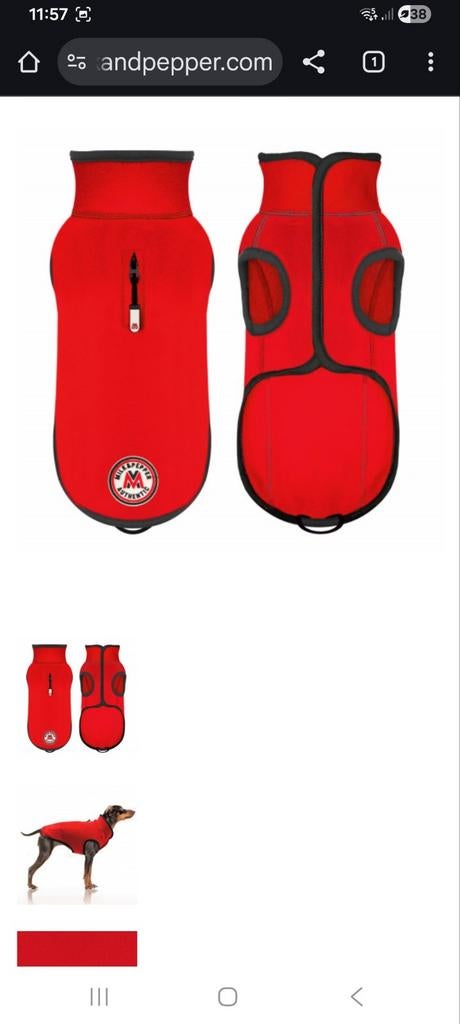 Nieuw vestje voor hond  . Milk & Pepper, Ophalen