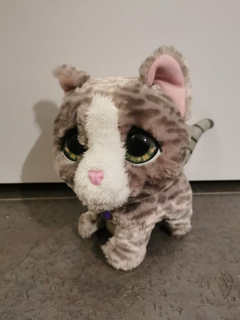 FurReal poes, Enlèvement ou Envoi