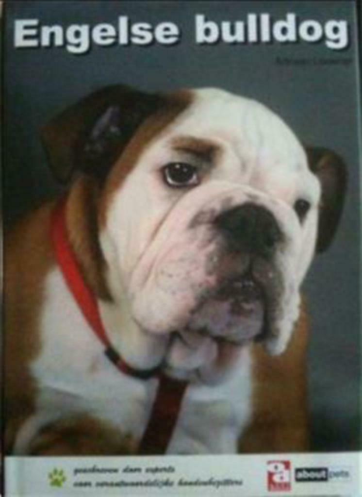 Engelse Bulldog, Adriaan Louwrier, Ophalen of Verzenden, Gelezen, Honden