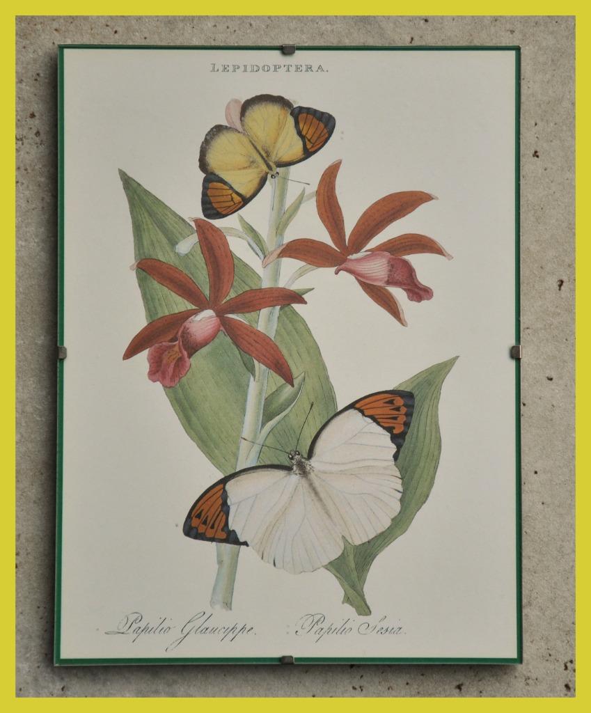 Beau cadre avec des papillons et des fleurs, Maison & Meubles, Envoi