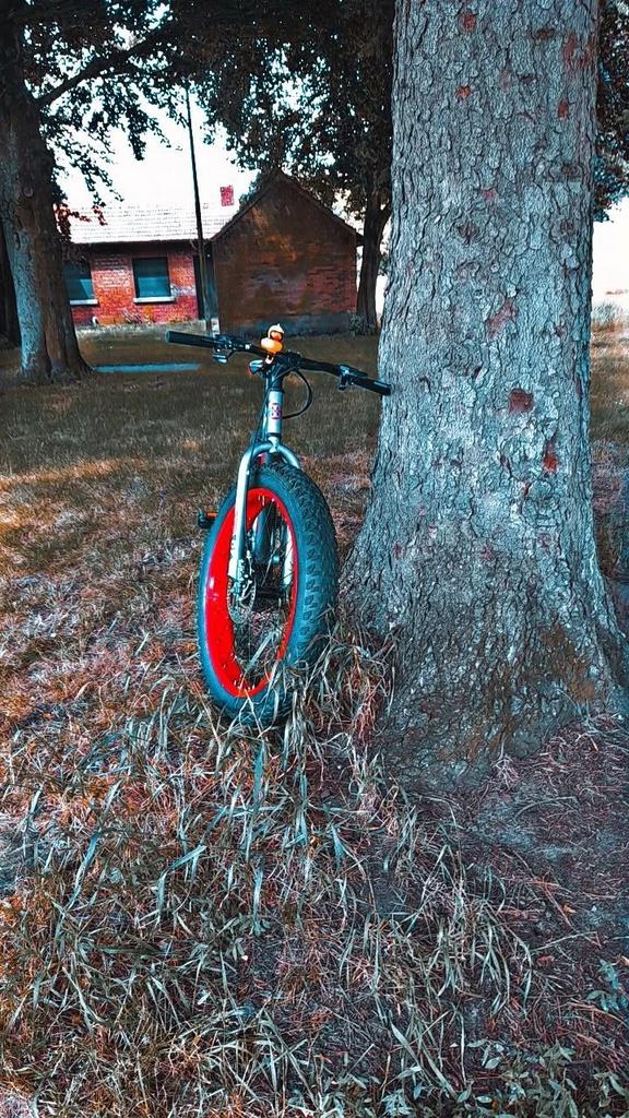 Fatbike noma, Autres marques, Comme neuf, Enlèvement, Hommes