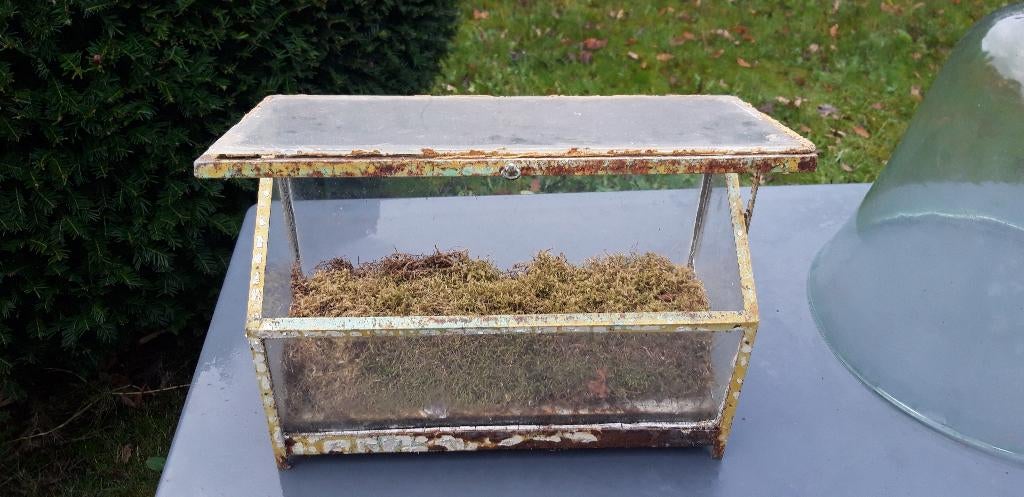 ancienne mini-serre, Enlèvement