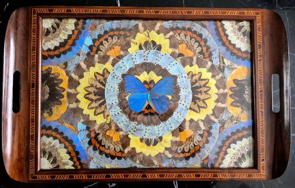 Art Deco-dienblad met echte vlinders 1920 - groot formaat!, Ophalen of Verzenden