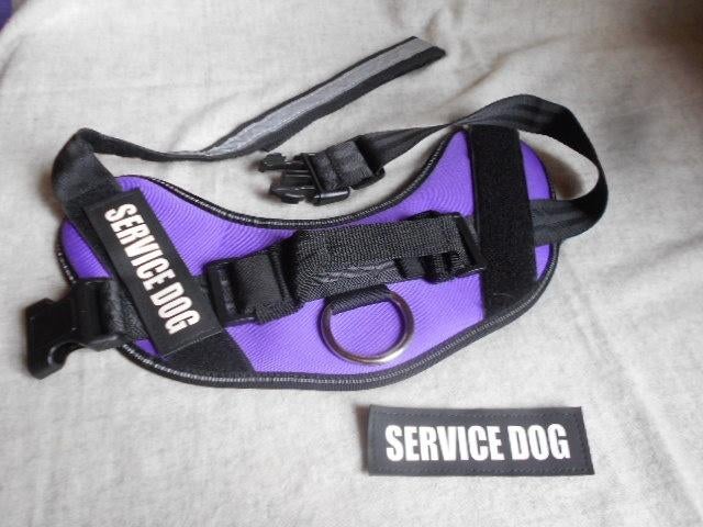 voor hond, harnas en leiband, Dieren en Toebehoren, Ophalen of Verzenden, Nieuw, Hondenriem-accessoire