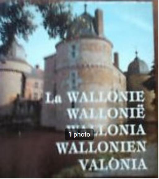 „Wallonië/Wallonië” D. Polet (fr/nl), Boeken, Ophalen of Verzenden, Gelezen, D. Polet