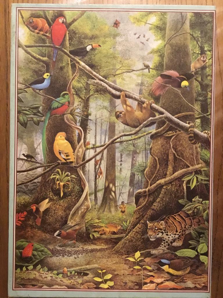 Puzzel 1000 stukjes Het bedreigde woud (NIEUW), Hobby en Vrije tijd, Denksport en Puzzels, Ophalen of Verzenden, 500 t/m 1500 stukjes