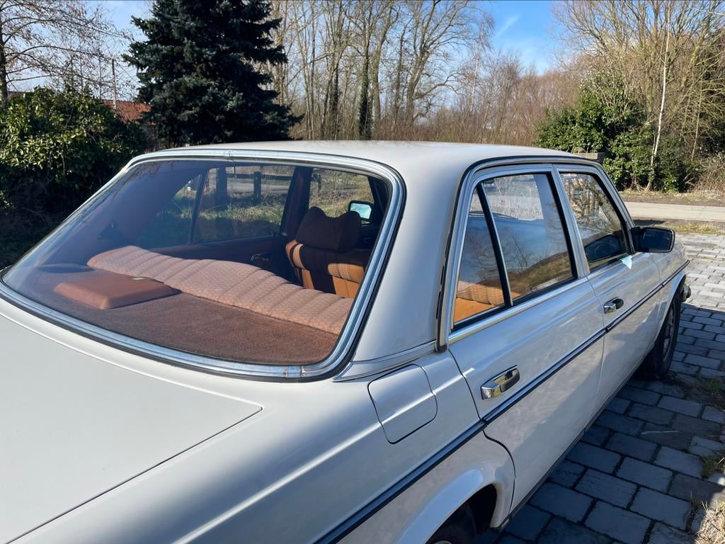 Mercedes 280 W123 Oldtimer, foto 11