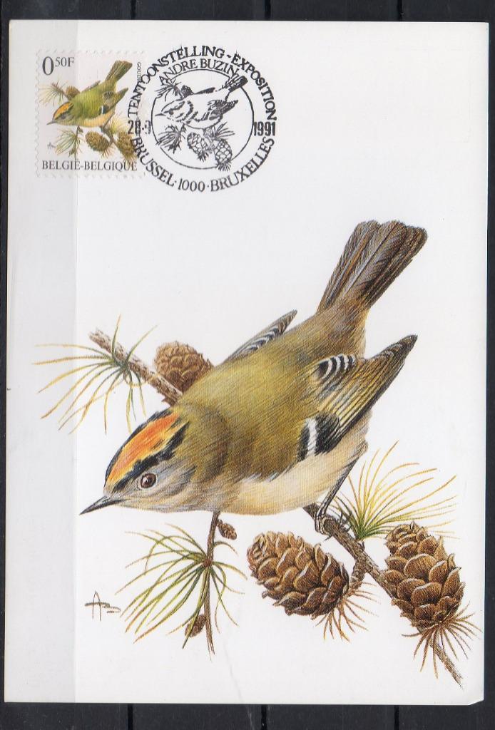 Année 1991 : Carte maximum 2424 - Oiseaux - Roitelet huppé -, Enlèvement ou Envoi
