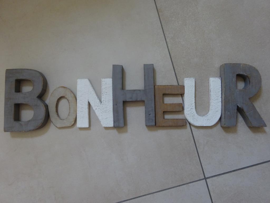Lettres BONHEUR, Enlèvement, Utilisé