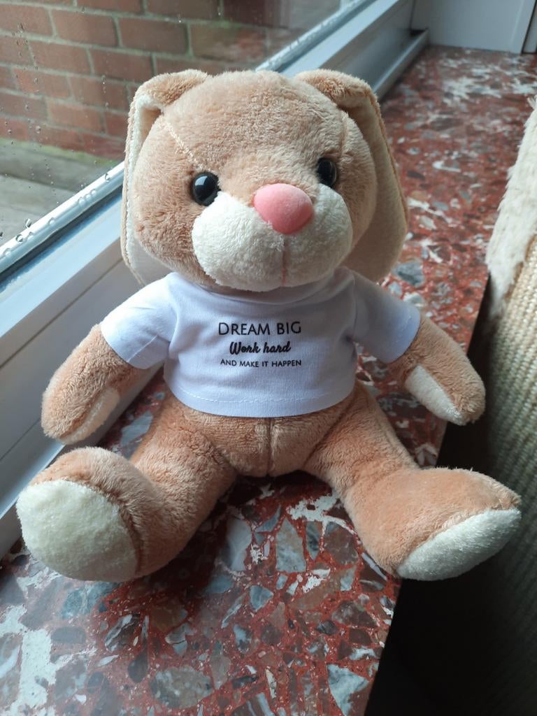 Knuffel met tekst, Kinderen en Baby's, Ophalen