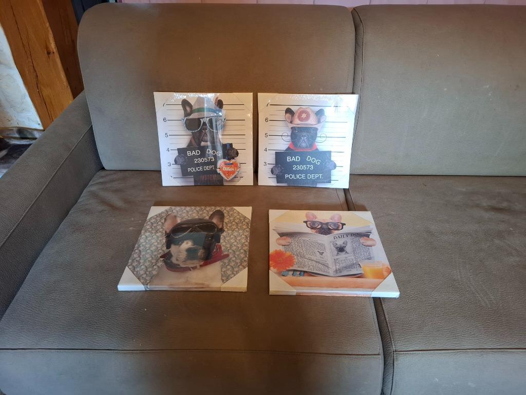 4 cadres bouledogue français  neufs, Enlèvement, Neuf