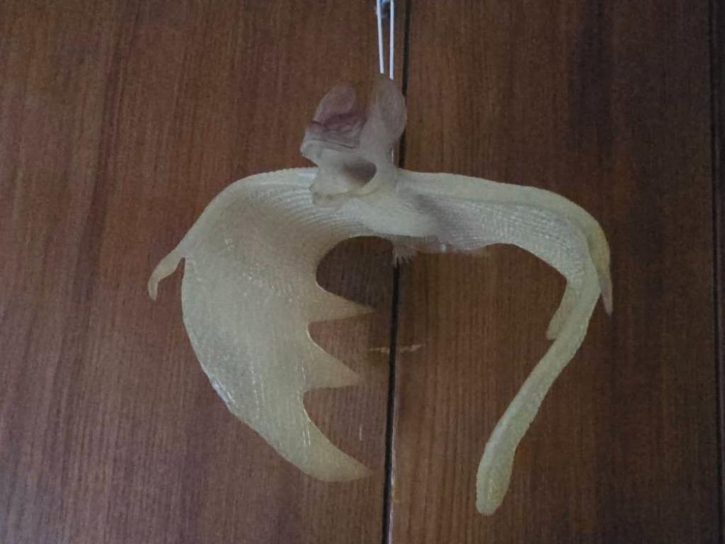 Halloween vleermuis, Hobby en Vrije tijd, Ophalen of Verzenden, Gebruikt, Versiering